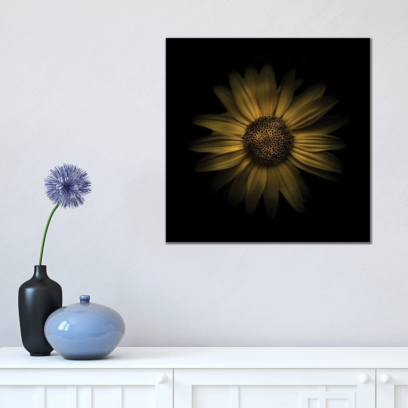 Yellow Daisy I by Brian Carson - Wrapped Canvas Print, 45.72 cm H x 45.72 cm W x 3.175 cm D