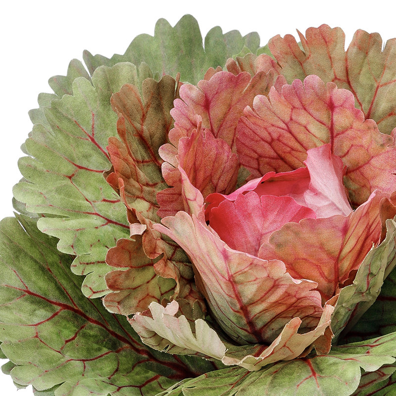 Piqûre ornementale chou frisé, Rose