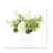 Assorted Hydrangeas and Stephanotis in Square Pot