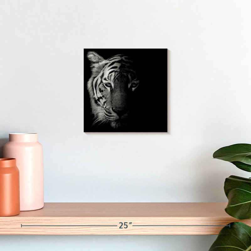 Brampt Tiger Contour