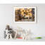 Parisian Dog at Work - Picture Frame Photograph on Paper-74856271-87886883
