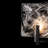 Arc 10" W 1 - Light Bath Sconce-71238795