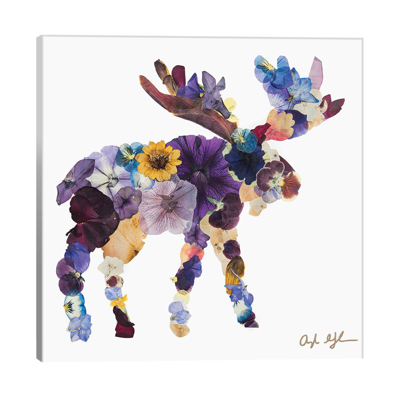 Moose by Oxeye Floral Co - Wrapped Canvas Art Print, 93.98 cm H x 93.98 cm W x 1.91 cm D