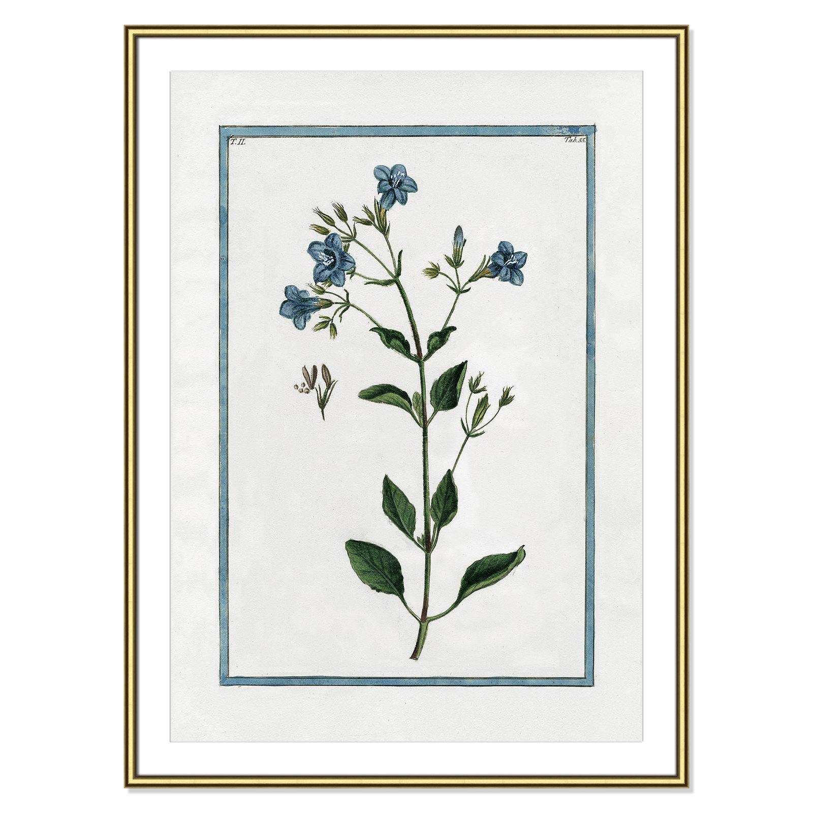 Shabby Elegance Botanical II - Framed Art, Gold Framed, 30.75" W x 42.75" H