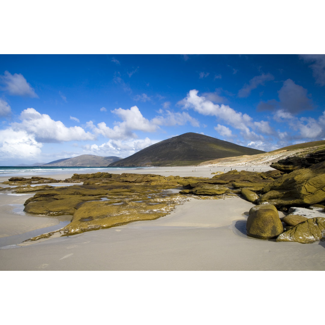 Falkland-Strand-Szene von Mlenny - Kunstdrucke auf Leinwand ohne Rahmen