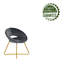 Colmar Velvet Accent Chair with Metal Legs-221319907