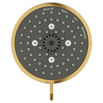 Tête de douche TEMPESTA brossée 4 po