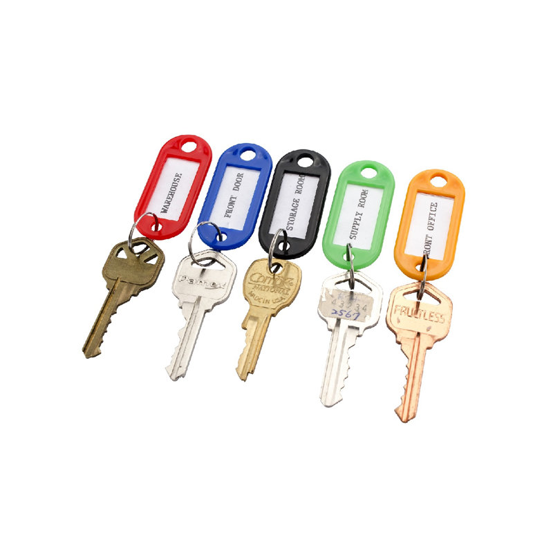Assorted Color Plastic Key Tags with Write-On Labels - 100 Pack
