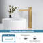 Robinet de salle de bain monocorps à poignée simple avec drain High Arc-103560311