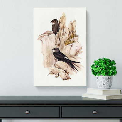 Australian Swift by Elizabeth Gould - Wrapped Canvas Painting