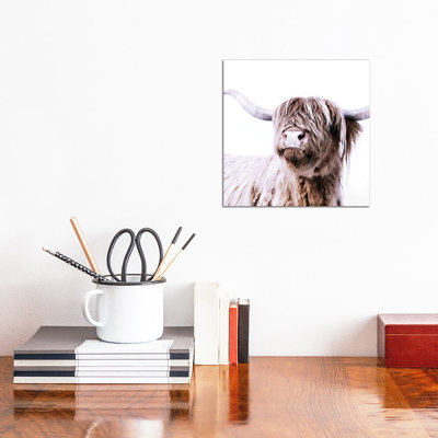 «Highland Bovins Frida I Square» par Monika Strigel - reproduction