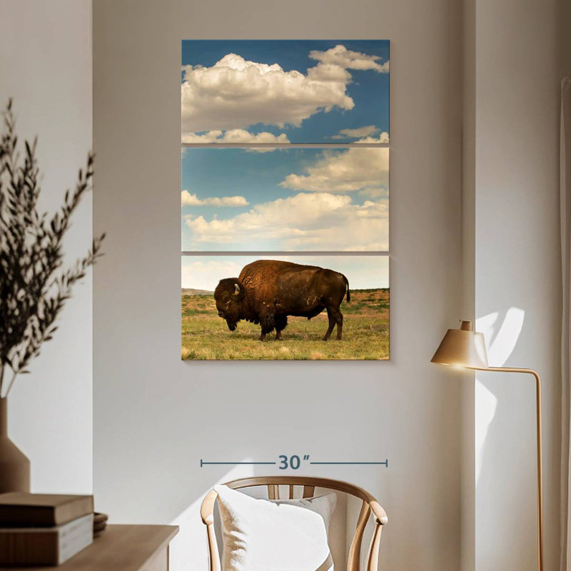 Bison des Rocheuses Brampt, H 65 po x l 42 po
