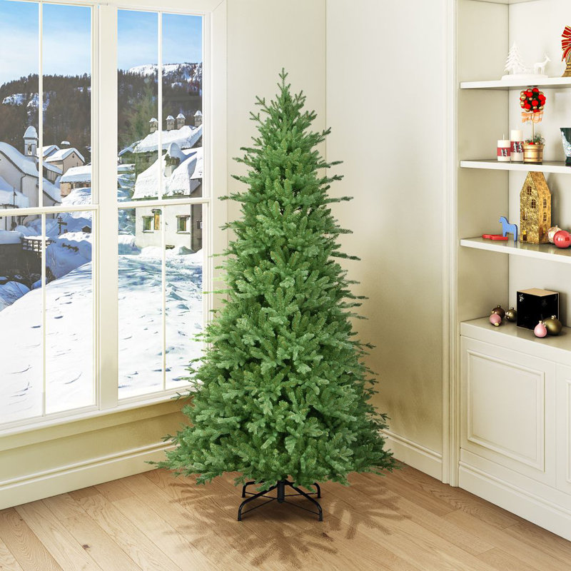 Buckinghamn Spruce 6ft Tree