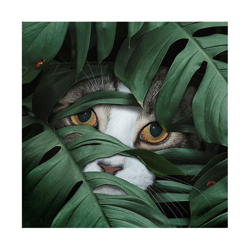«Sneaky Cat» par Lori Hutchison - photographie sur toile tendue, H 24 po x l 24 po x P 2 po