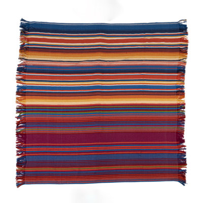 Indoor/Outdoor Woven Fabric Throw with Stripes and Fringe, Multicolor