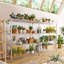 Shelving Unit-446627099