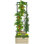 Lit de jardin surélevé galvanisé Outsunny, boîte à fleurs d'extérieur 24 po x 24 po x 11,75 po avec cage à tomates en treillis et fond ouvert pour plantes grimpantes, légumes, fleurs dans la cour, jardin, patio, crème
