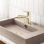 Robinet de salle de bain à poignée simple avec égouttoir escamotable Topcraft-115607518