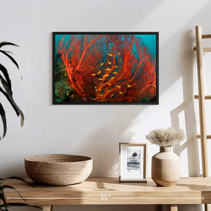 Corail de feu, 19 po x 13 po, Cadre flottant noir