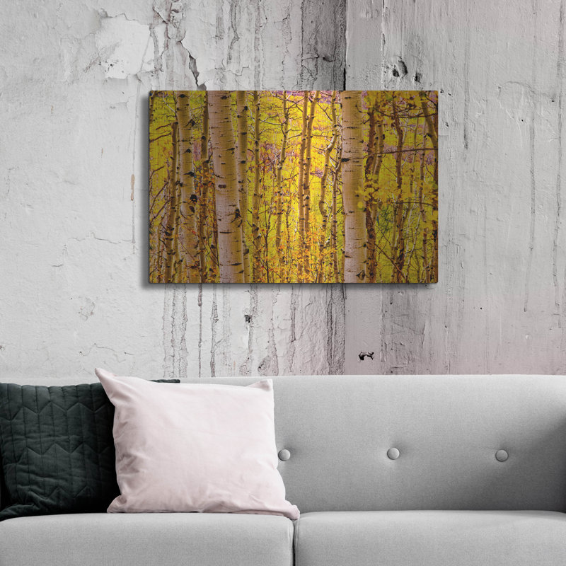 «Aspen Autumn» par Mark A Paulda, H 24 po x l 36 po