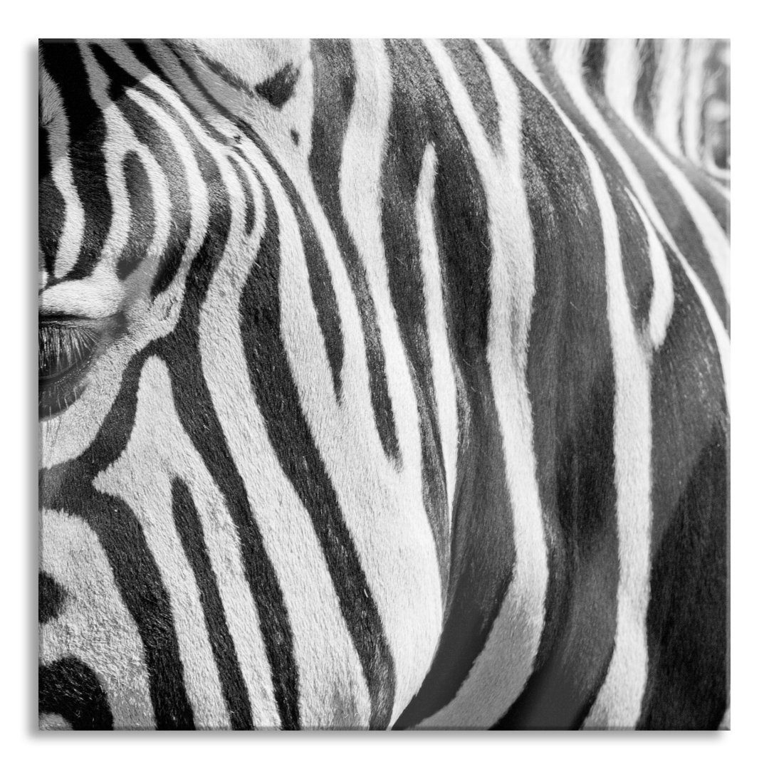 Glasbild Zebra Portrait