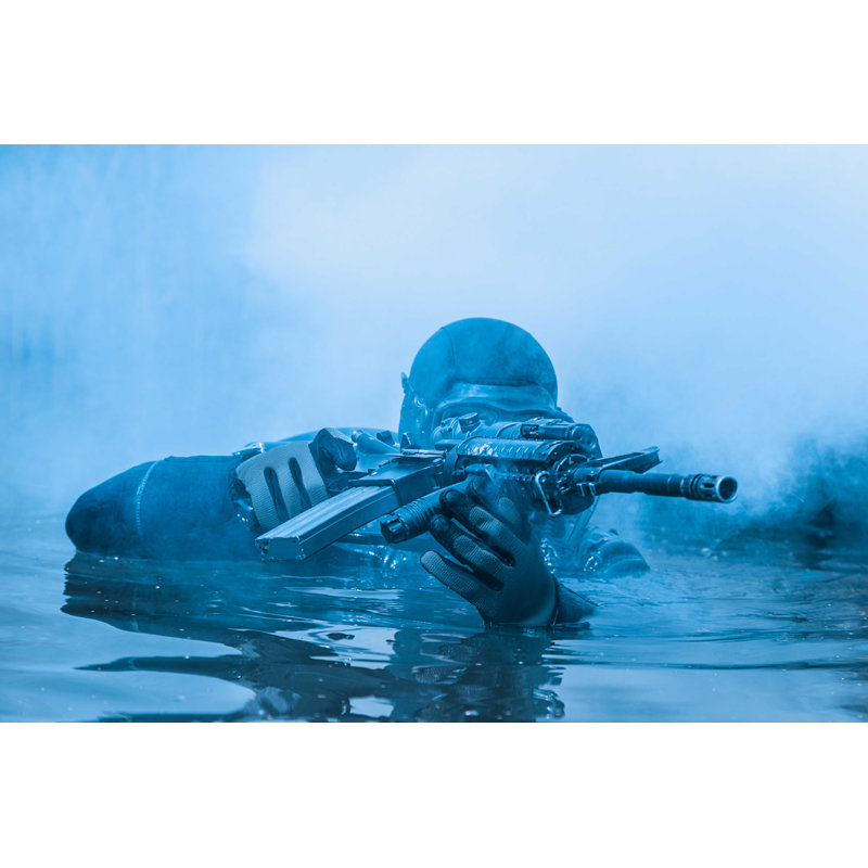 " Navy Seal Frogman ", 12" H x 18" W