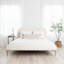 Signature Design by Ashley Chime Medium Memory Foam Mattress-1527553559