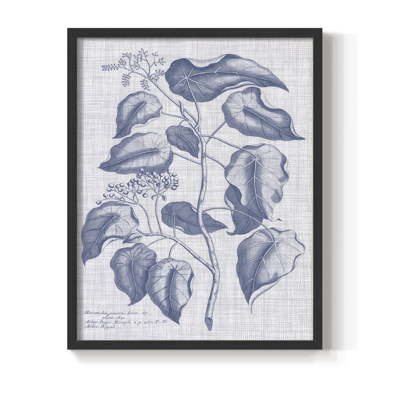 Bleu marine et lin, reproduction botanique encadrée - bois massif, Noir, noir, noir, noir, H 30 po x l 24 po