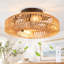 Ventilateur de plafond Socher 20'' style bohème bohème en rotin avec cage, ensemble d'éclairage et télécommande