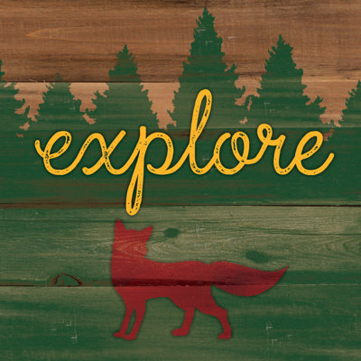 Explore Fox - Wrapped Canvas Print