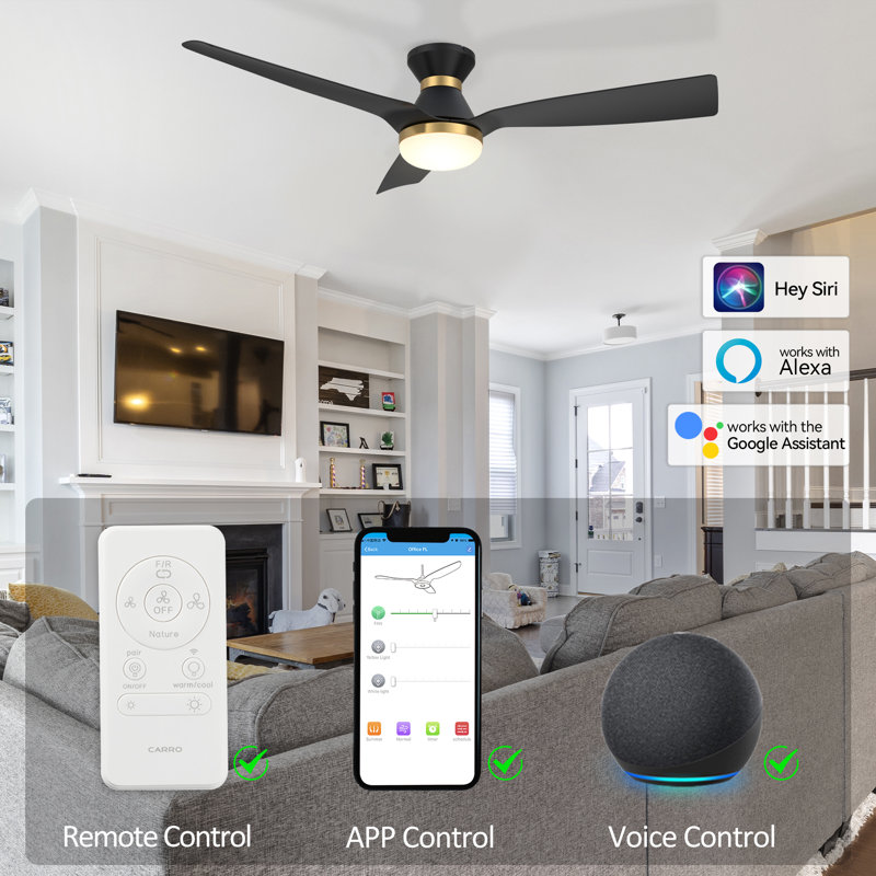 Ekam 52'' Ceiling Fan with LED Lights