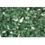 Verre de foyer-480626484