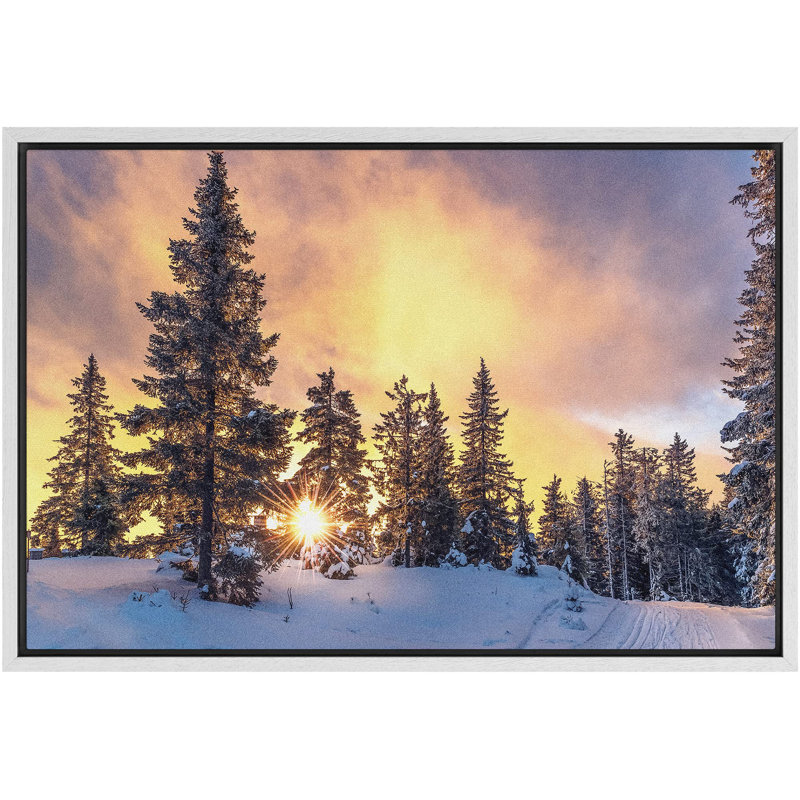 Coucher de soleil, hiver, pin, neige, forêt, nature, photographie, paysage sauvage, paysage, décor, Cadre flottant blanc