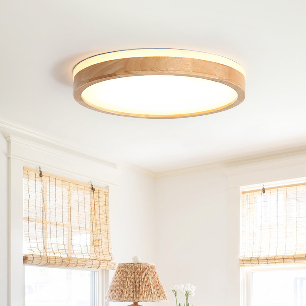 Damiyon 1-Light 30cm Modern Dimmable LED Energy-Saving Ceiling Light Round Flush Mount Lamp