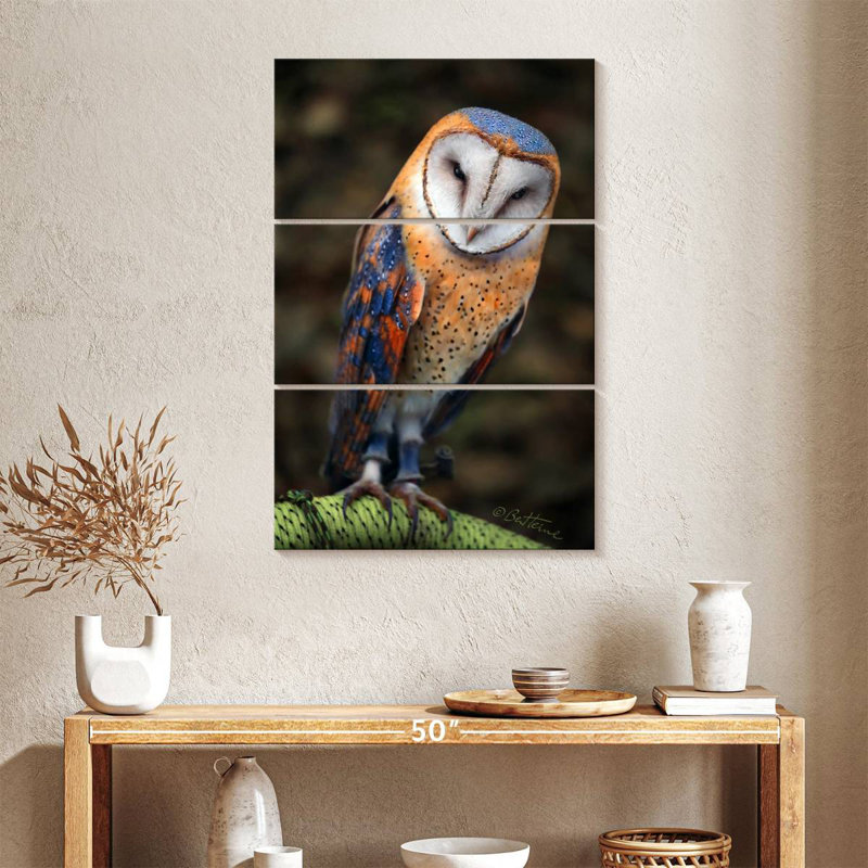 Brampt Heart-Shaped Face Barn Owl, 38" H x 24" W