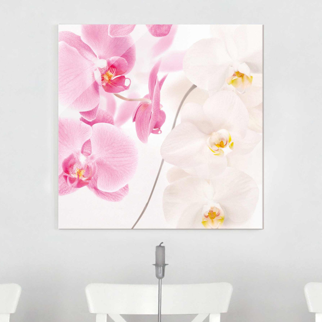 Glasbild Zarte Orchideen