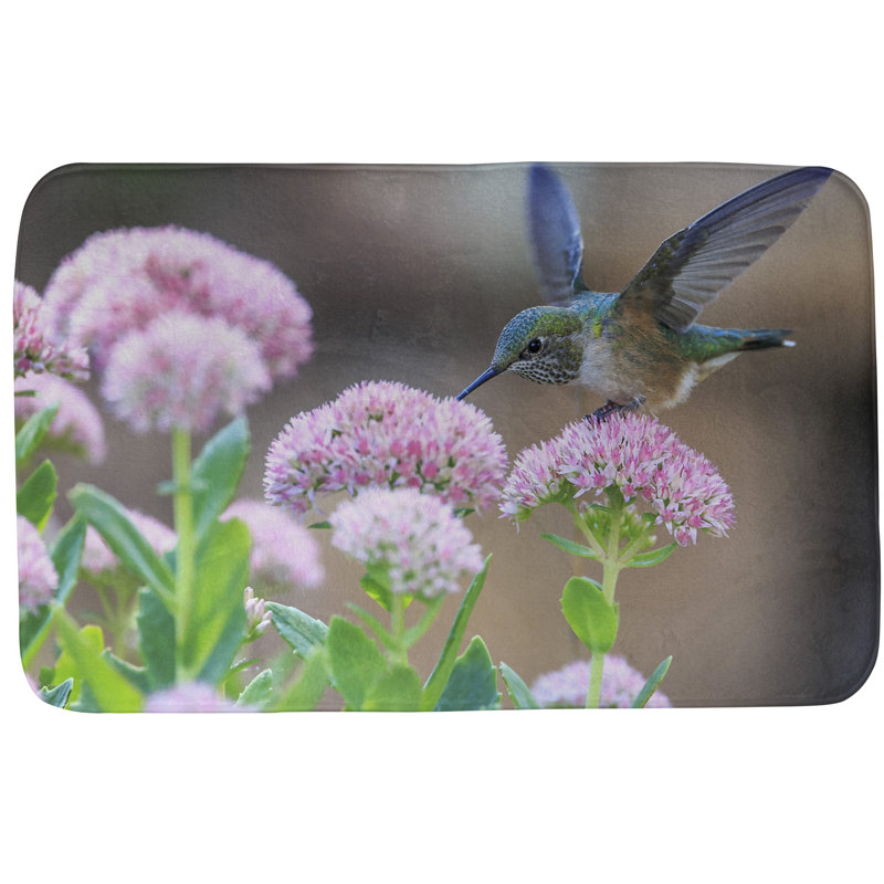 Tapis pour salle de bain hummingbird Joslin, l 17 po x L 24 po