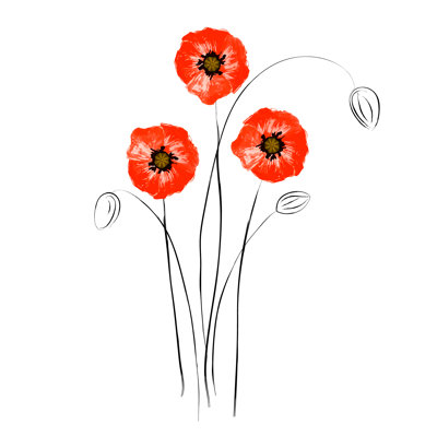 Coquelicots rouges Toto