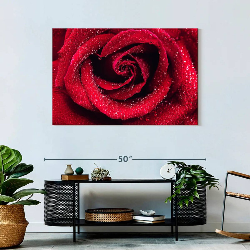 Gouttelettes sur une rose rouge, H 30 po x l 45 po