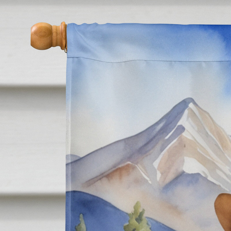 Drapeau Cowboy Welcome House, Goldendoodle