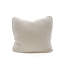 Housse et insert de coussin en coton-90719614-90719612