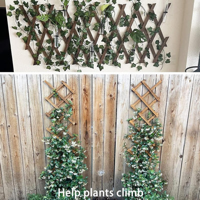 Treillis de jardin extensible en bois avec treillis en bois