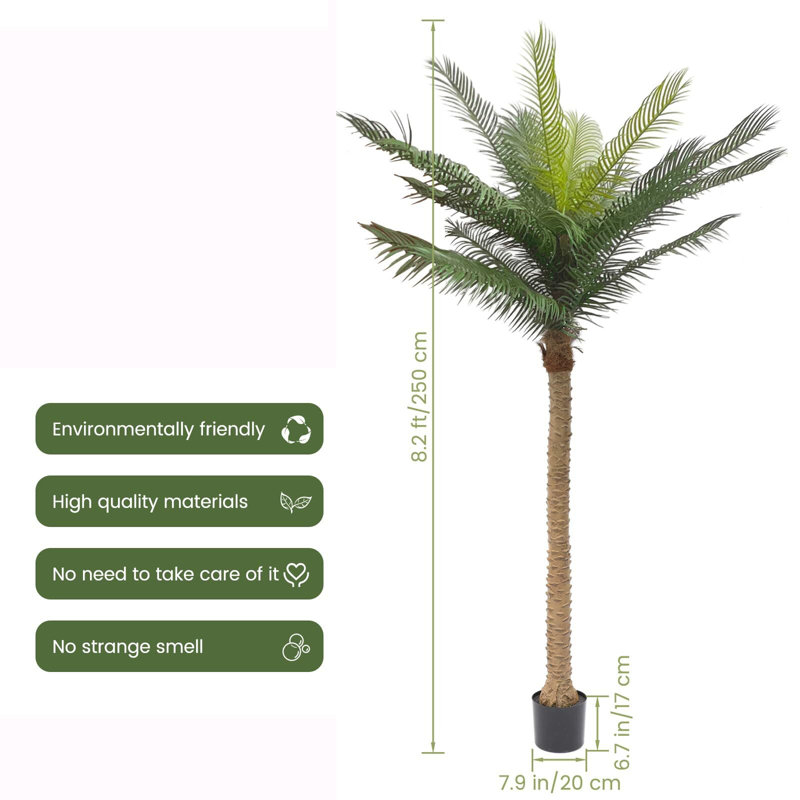 98 po plante