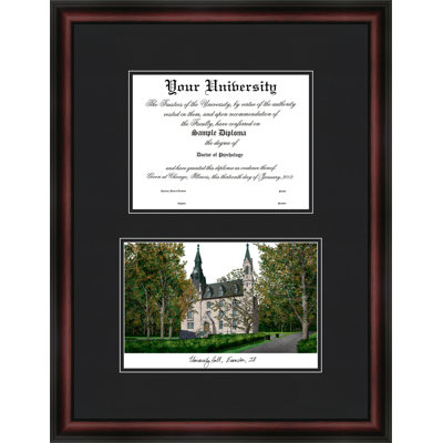 NCAA Northwestern Wildcats Diplomate Diploma Frame