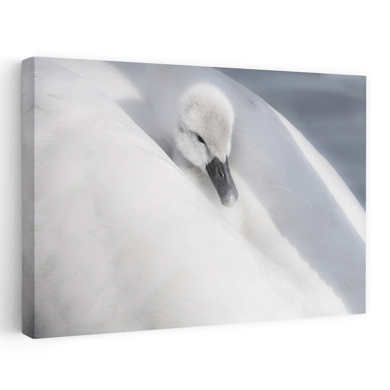 A Dress That Is Too Big Contemporary Bird Duck Nature Wildlife Wall Art Print, 101.6cm H x 152.4cm W