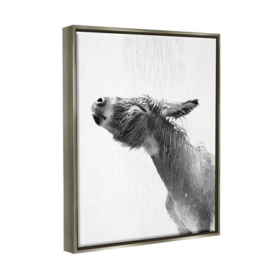 Éclaboussure de salle de bain Donkey