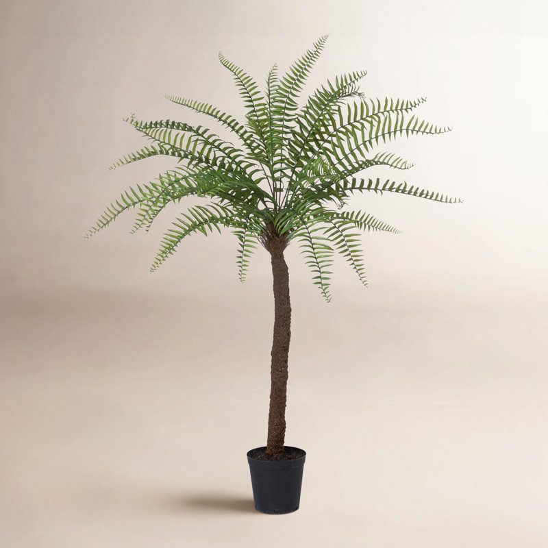 Faux Fern Tree in Pot, 6'