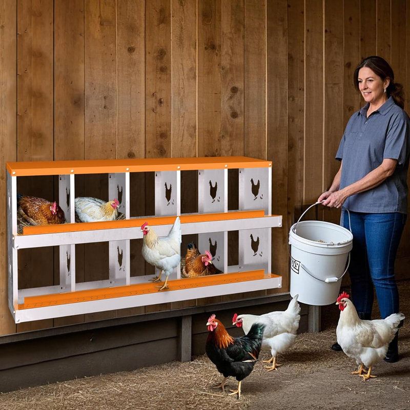 Nesting Boxes
