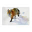 «Stepping Fox in Snow» par John Keeling-2039896597