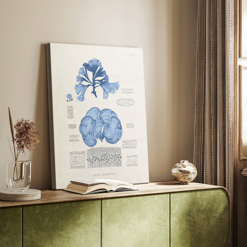 Blue Marine Algae IV - Gallery Cavas sur mesure, H 18 po x l 12 po